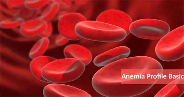 Anemia Profile